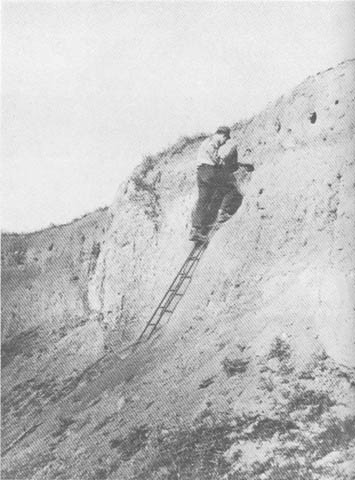 Тайные тропы носителей смерти - _27.jpg