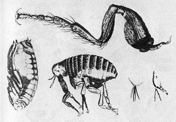 Тайные тропы носителей смерти - _4.jpg