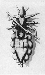 Тайные тропы носителей смерти - _5.jpg