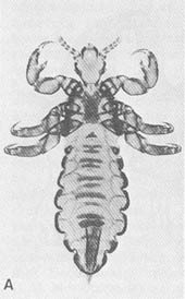 Тайные тропы носителей смерти - _6.jpg