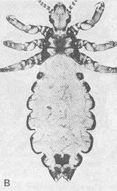 Тайные тропы носителей смерти - _7.jpg