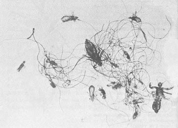 Тайные тропы носителей смерти - _9.jpg