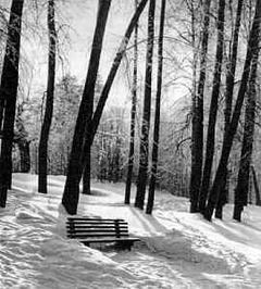 Беседы о фотомастерстве - dyko_photo_009.jpg