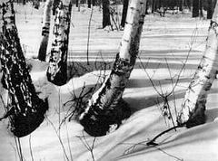 Беседы о фотомастерстве - dyko_photo_010.jpg