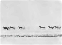 Основы композиции в фотографии - foto48.jpg