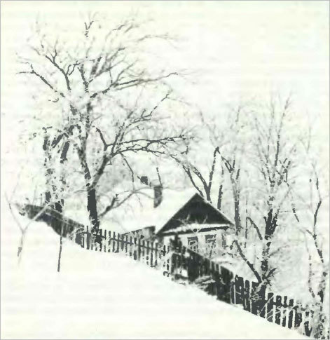 Основы композиции в фотографии - foto78.jpg