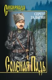 Соленая Падь - автор Залыгин Сергей Павлович 
