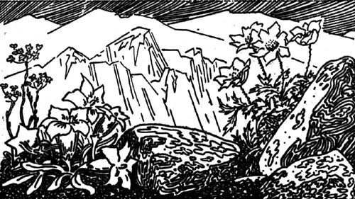 Тропы Алтая - i_013.jpg