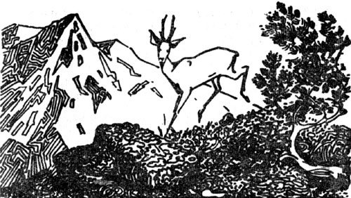 Тропы Алтая - i_017.jpg