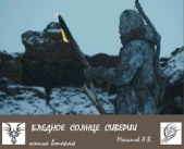 Бледное солнце Сиверии - автор Меньшов Александр 