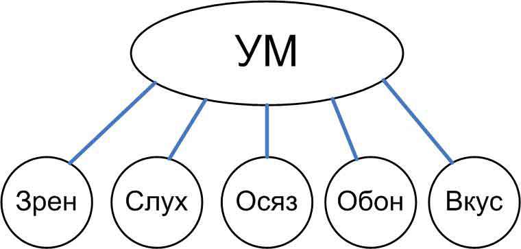 Анатомия ложного эго  - _2.jpg