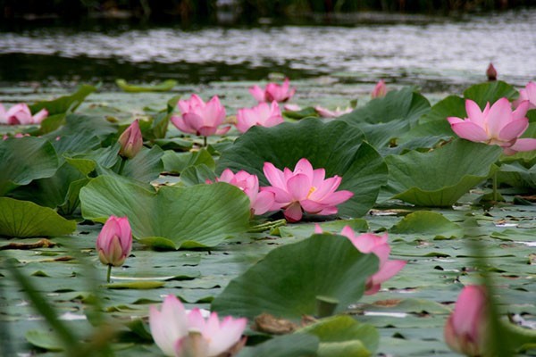 Хроники Тридесятого Царства (СИ) - i_013.jpg