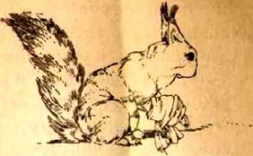 Андрейка на плоту - i_006.jpg