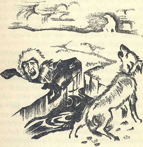 Гибель «Жаннетты» - i_004.jpg