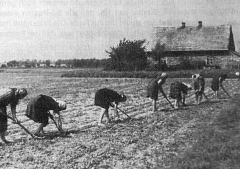 Ложь об Освенциме - ThiesChristophersen5.jpg