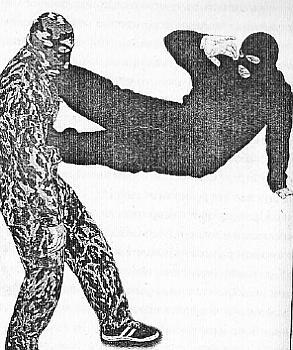 Неизвестное самбо - _27.jpg