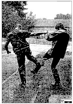 Уличная драка и измененные состояния сознания - _88.jpg