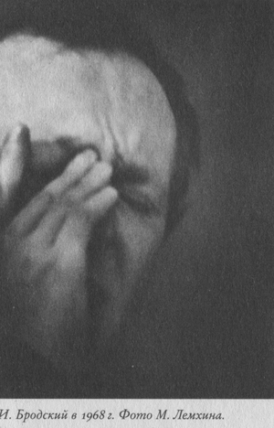 Язык есть Бог. Заметки об Иосифе Бродском [с иллюстрациями] - i_002.png