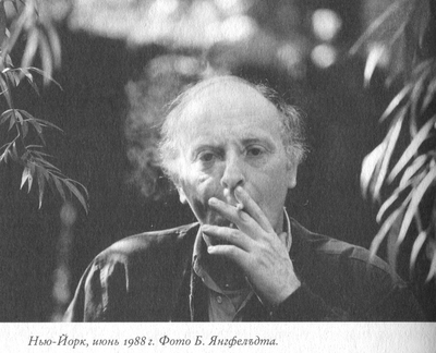 Язык есть Бог. Заметки об Иосифе Бродском [с иллюстрациями] - i_046.png