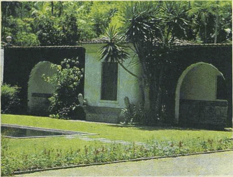 1001 день в Рио-де-Жанейро - i_035.png