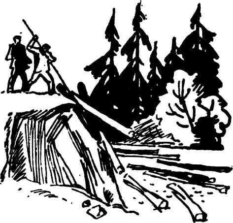 Первая просека - img_5.jpeg