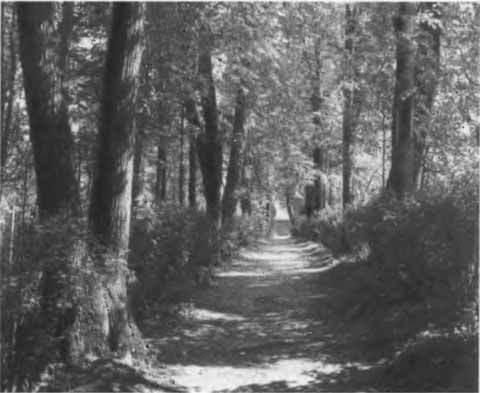 Аксаков - i_051.jpg