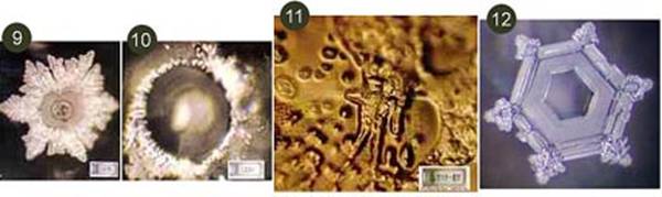 Тайная Жизнь Воды - pic_5.jpg