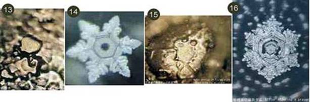 Тайная Жизнь Воды - pic_6.jpg