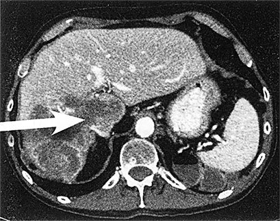 Правила здоровой и долгой жизни - i_008.jpg