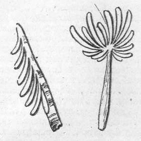 Азбука туризма - pic_32.jpg