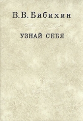 Узнай себя - автор Бибихин Владимир Вениаминович 