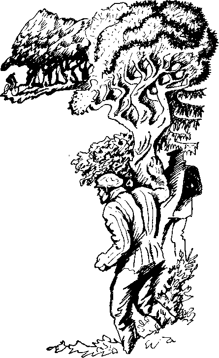 В Заболотье светает - i_001.png