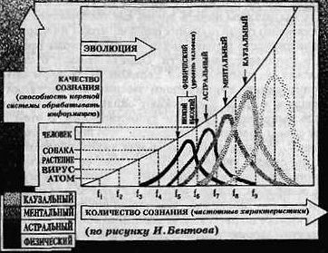Вибрационная медицина - _22.jpg