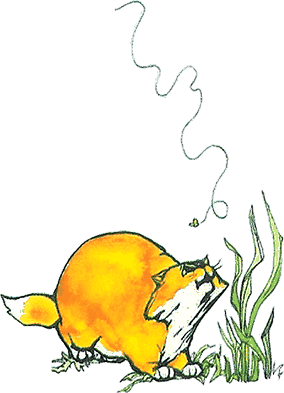 Тайны анатомии - i_001.png