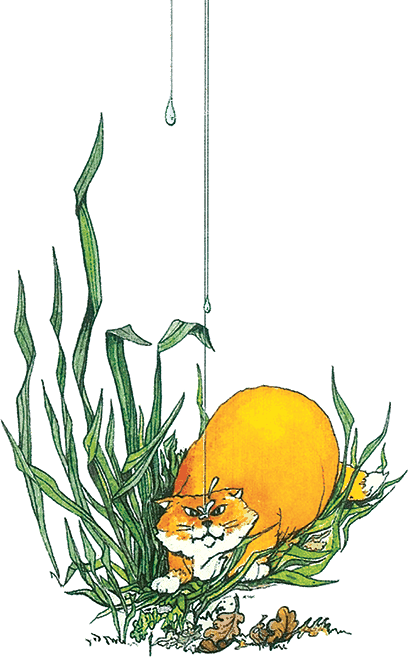 Тайны анатомии - i_003.png