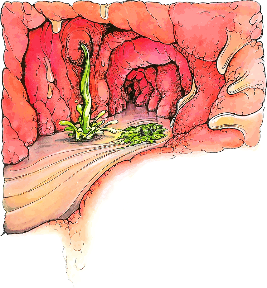 Тайны анатомии - i_019.png