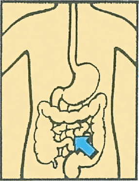 Тайны анатомии - i_020.png