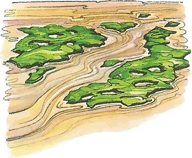 Тайны анатомии - i_021.png