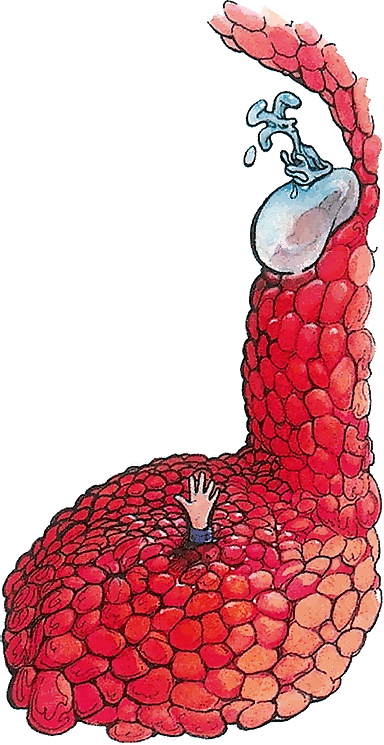 Тайны анатомии - i_022.png