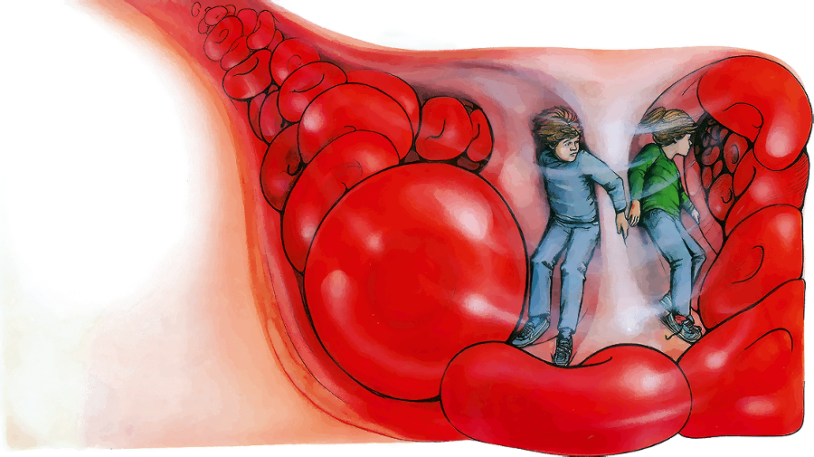 Тайны анатомии - i_023.png