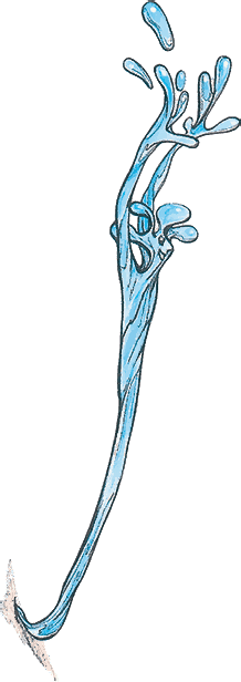 Тайны анатомии - i_024.png