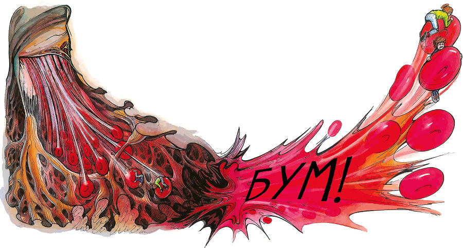 Тайны анатомии - i_029.png