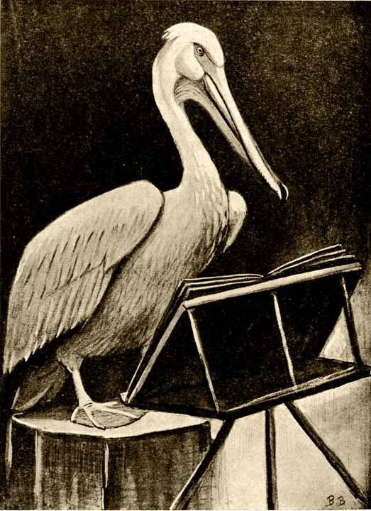 Пернатые артисты - i_009.jpg