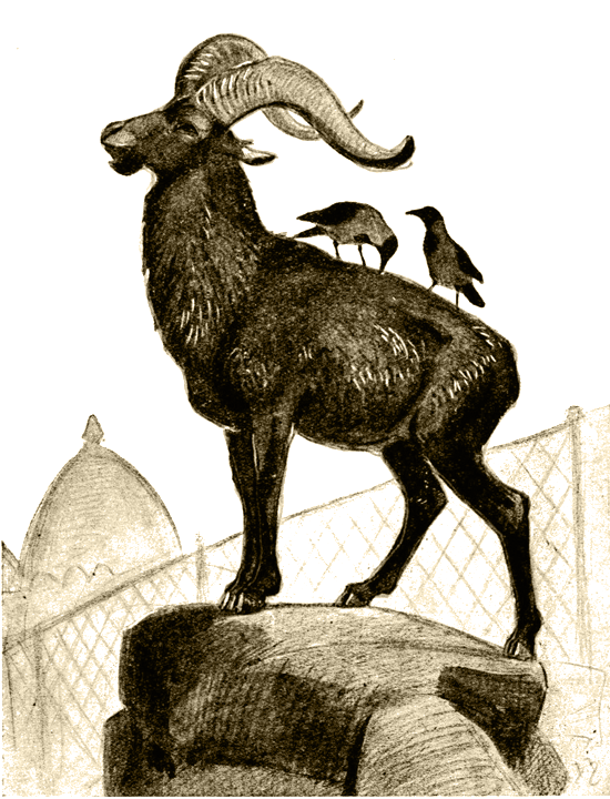 Пернатые артисты - i_010.png