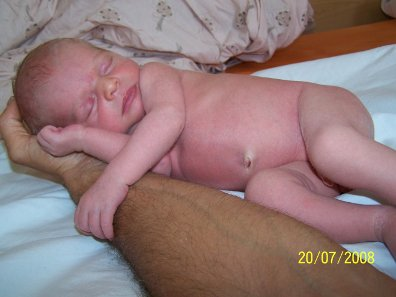 Никон, сыроед с зачатия - img_3.png