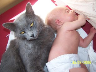 Никон, сыроед с зачатия - img_10.png