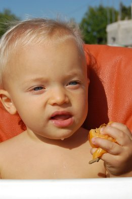 Никон, сыроед с зачатия - img_20.png