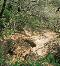 Журнал "Компьютерра" N743-744 - pic_10.jpg