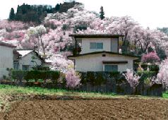 Журнал "Компьютерра" N745 - pic_19.jpg