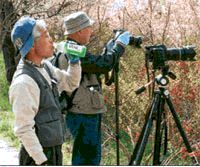 Журнал "Компьютерра" N745 - pic_23.jpg